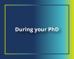 7499 PhD Guide During PhD