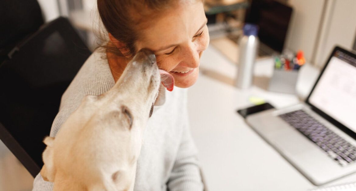 PhD student studying with dog