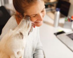 PhD student studying with dog