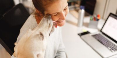 PhD student studying with dog