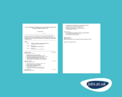 Chronological CV Template