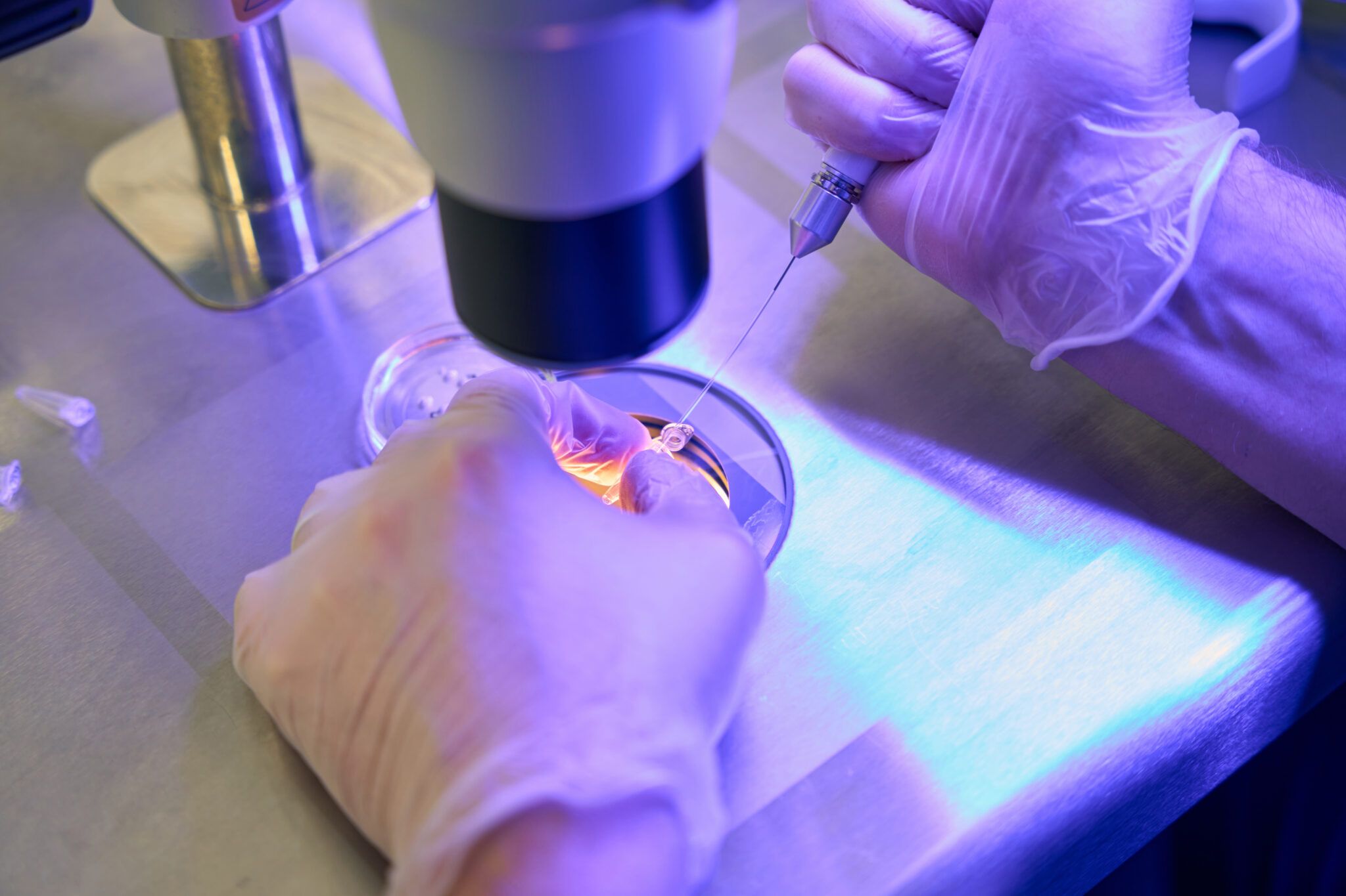 Cell Biology Jobs Profile - jobs.ac.uk