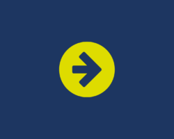 returning to education