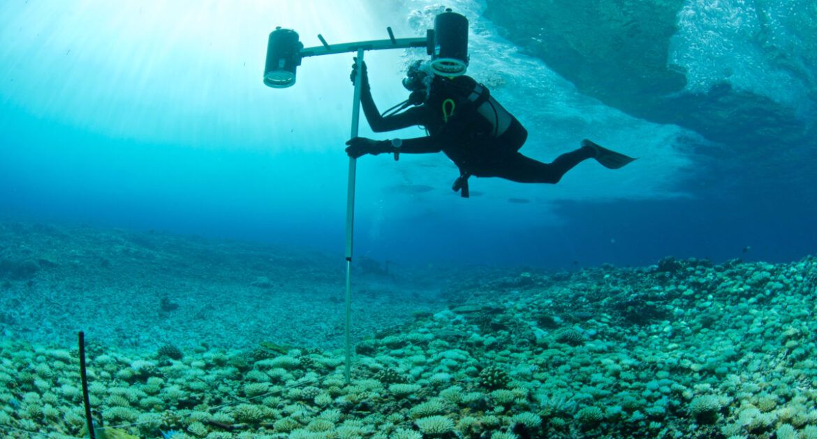 marine biologist