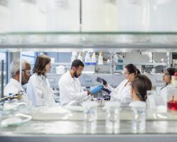 Scientists working in the laboratory