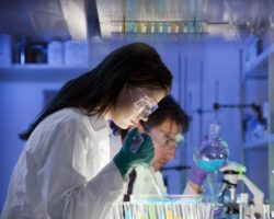 group of Scientist In Laboratory