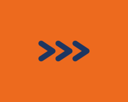 PhD In The Netherlands