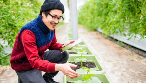 scientist conducting research using a digital tablet in a greenhouse