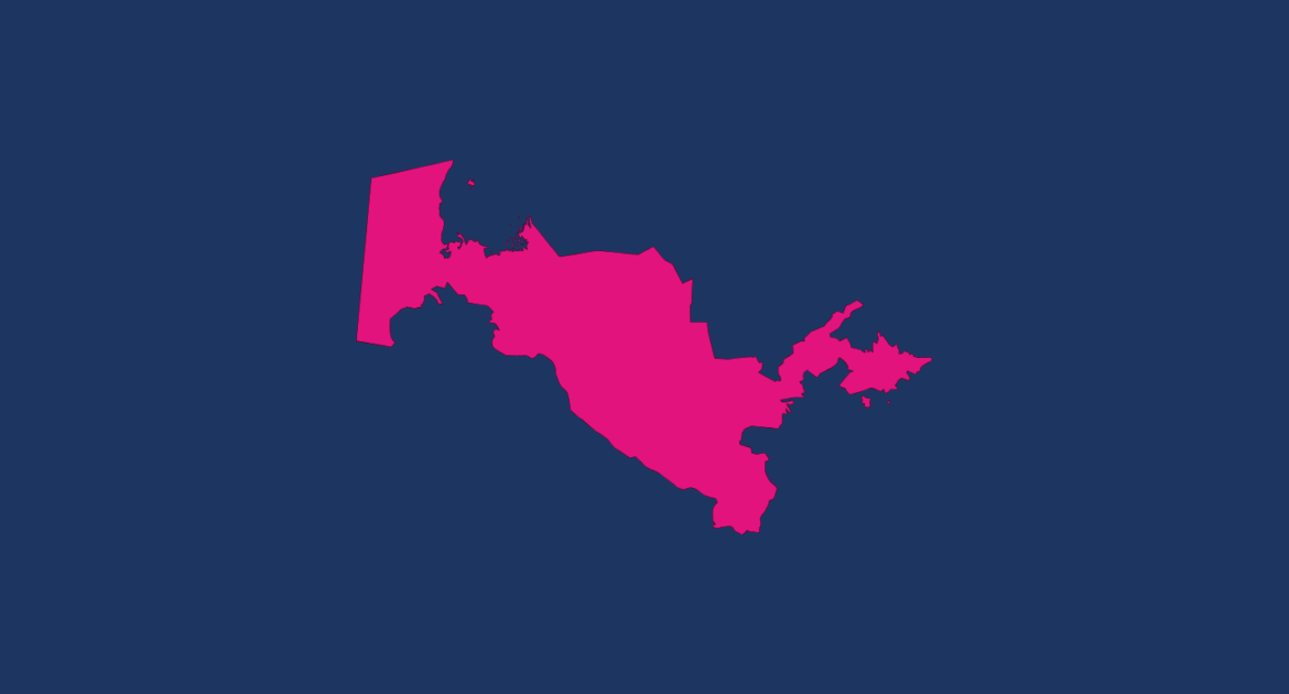 Working in Uzbekistan - Map icon of Uzbekistan