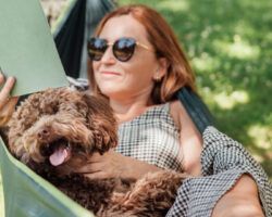 Woman reading book relaxing in hammock with her fluffy brown dog on sunny day.
