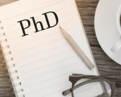 What is a PhD studentship